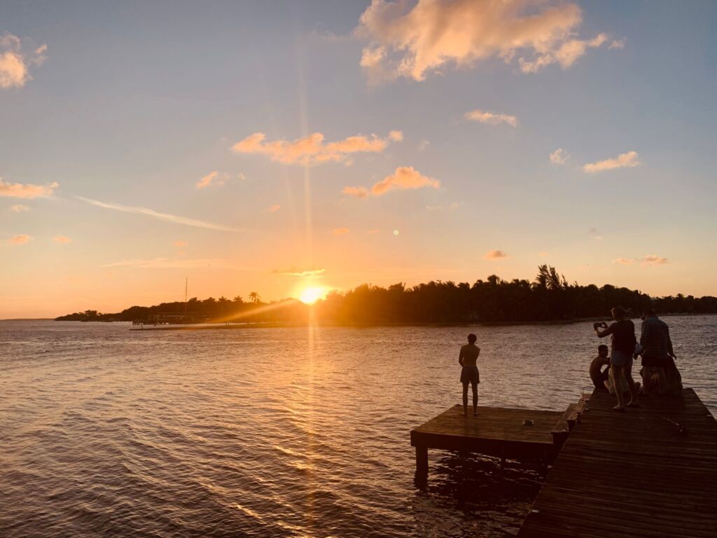 WhatsApp Image 2026-03-14 at 6.54.23 PM